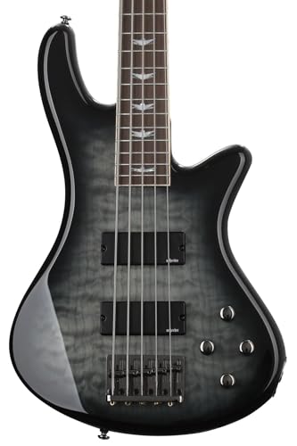 Amazon | Schecter シェクター Stiletto Extreme-5 ベースギター (5弦